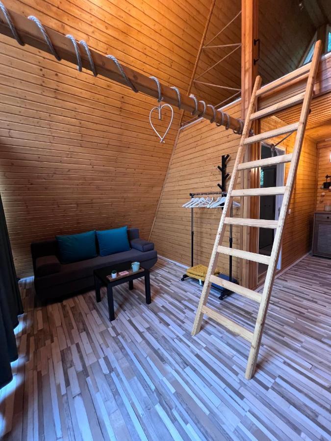 Cabane A-Frame Svinita מראה חיצוני תמונה