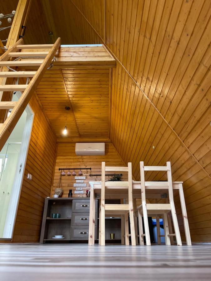 Cabane A-Frame Svinita מראה חיצוני תמונה