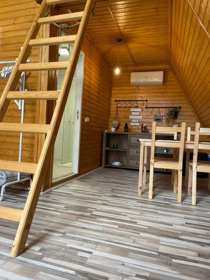 Cabane A-Frame Svinita מראה חיצוני תמונה