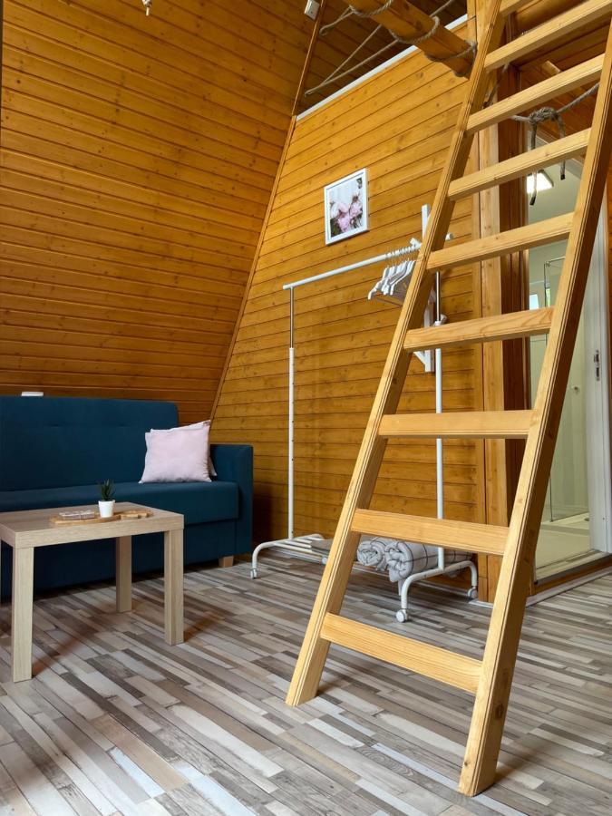 Cabane A-Frame Svinita מראה חיצוני תמונה