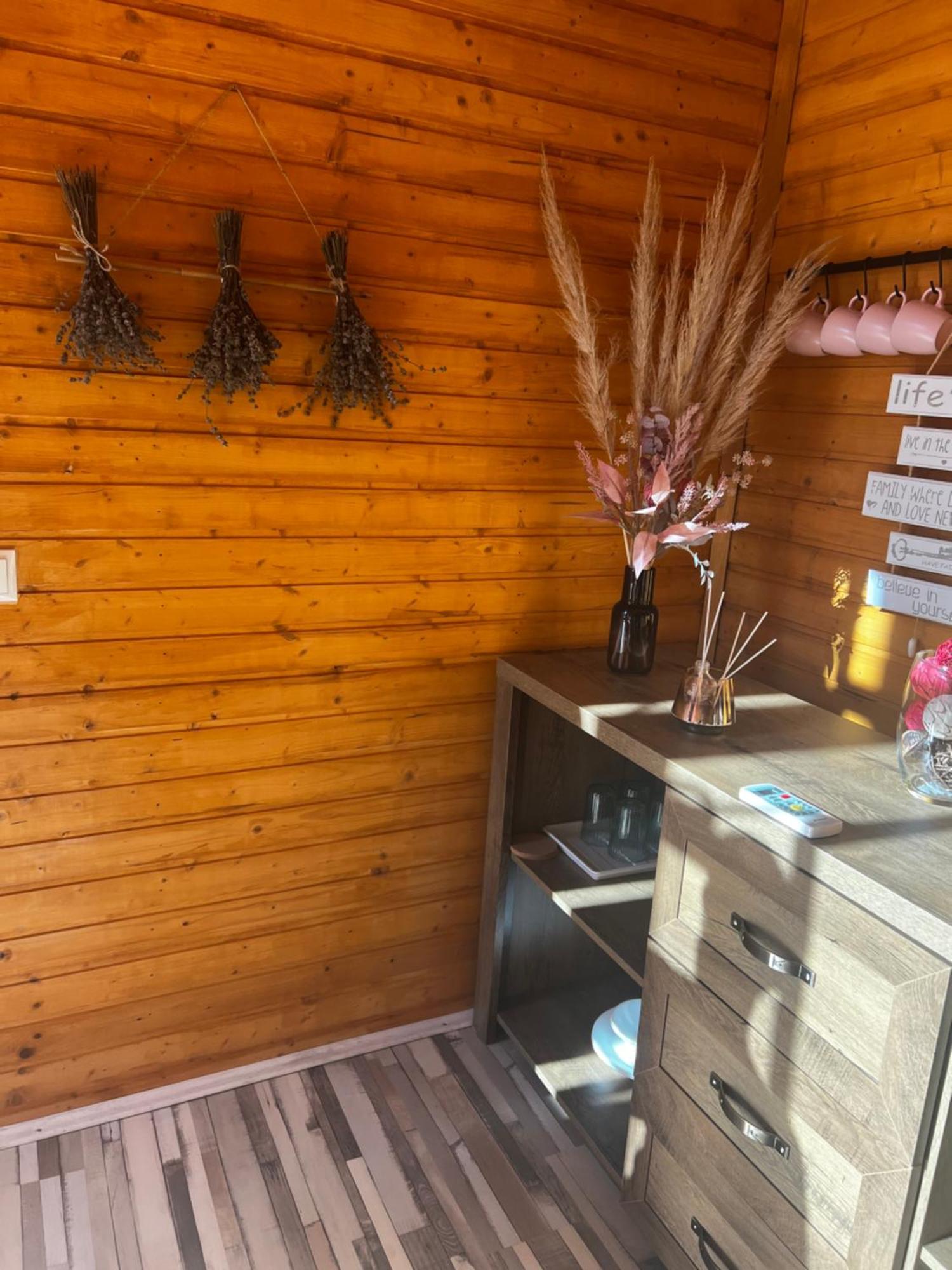 Cabane A-Frame Svinita מראה חיצוני תמונה