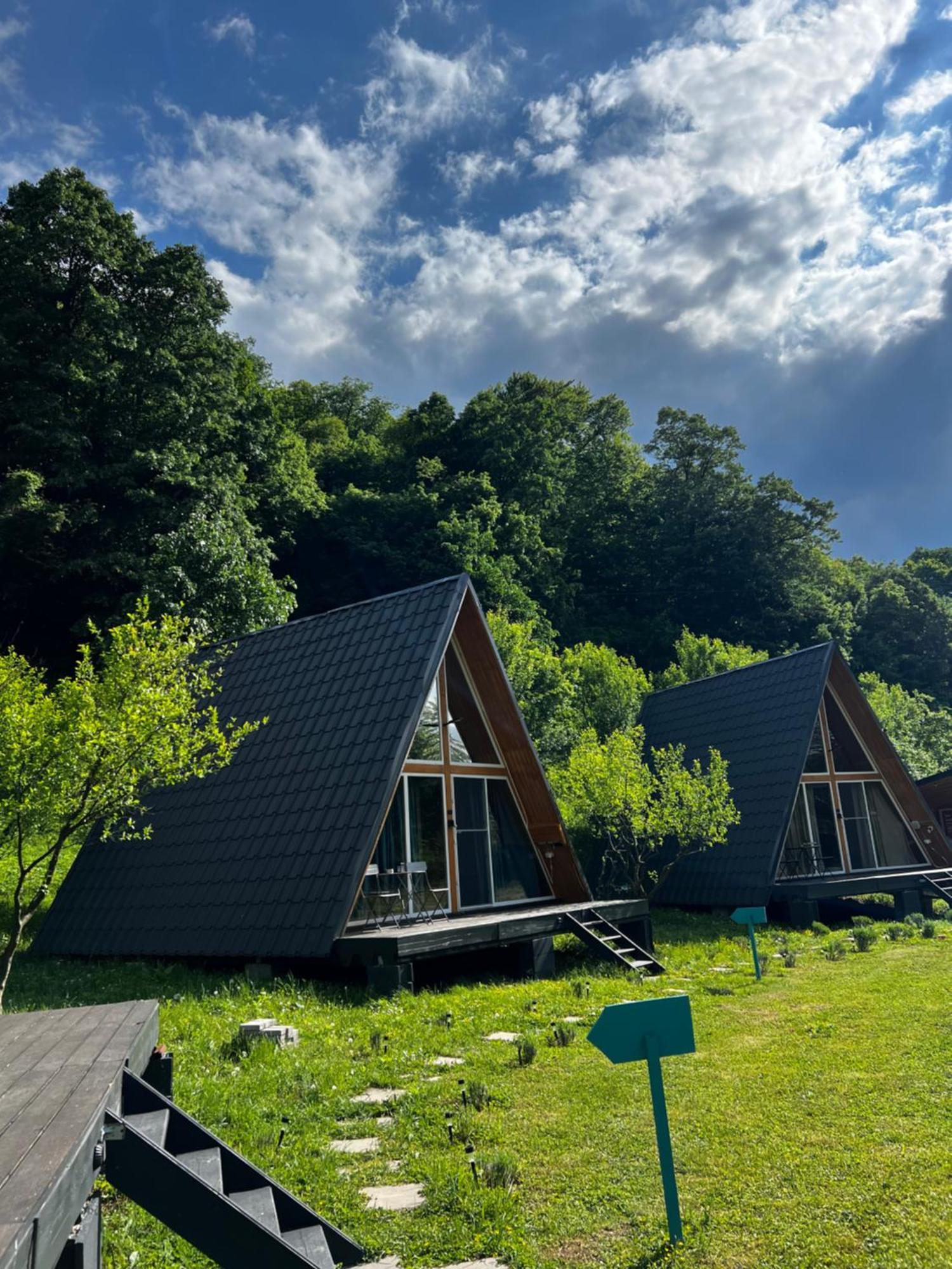 Cabane A-Frame Svinita מראה חיצוני תמונה