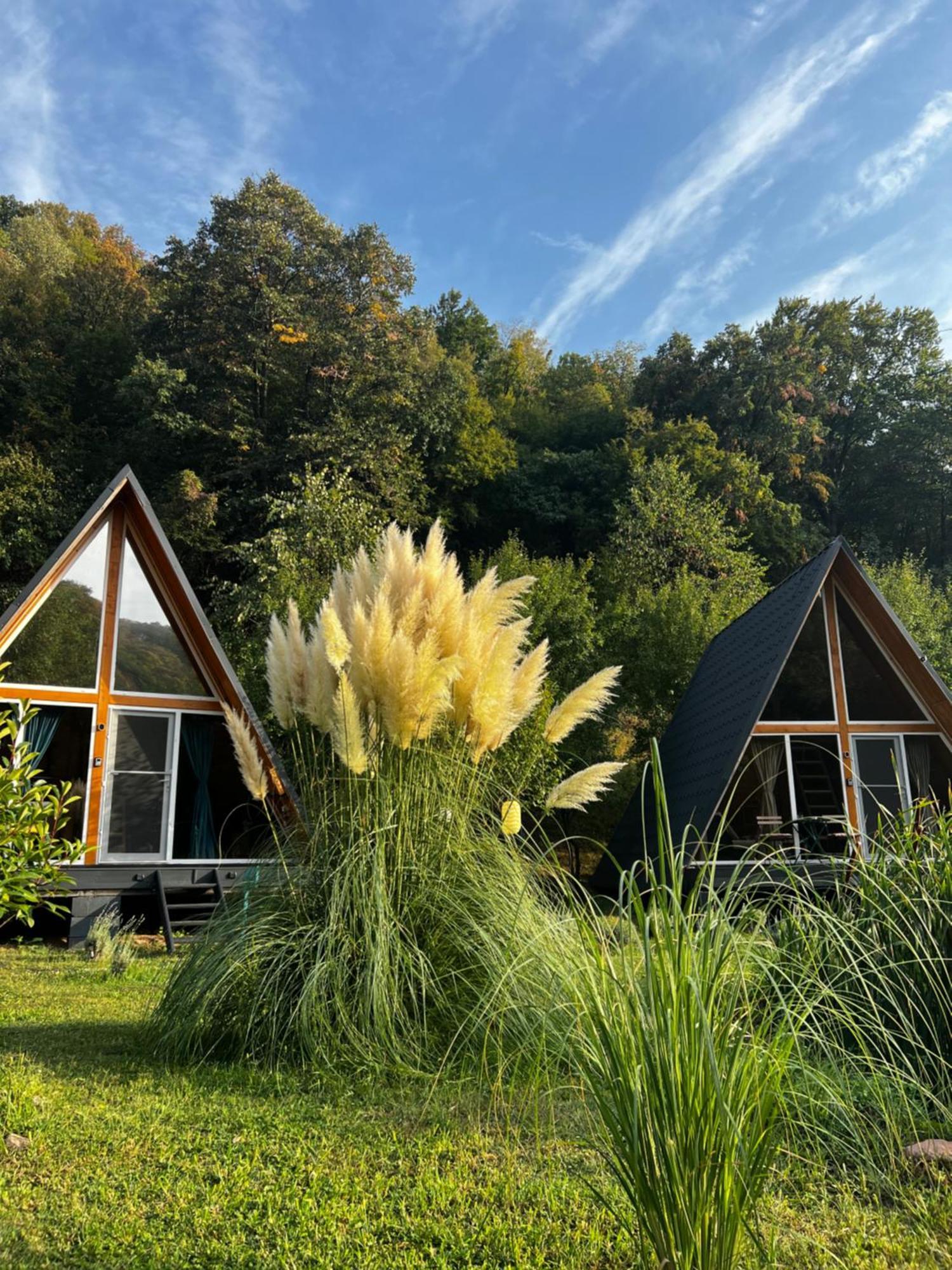 Cabane A-Frame Svinita מראה חיצוני תמונה