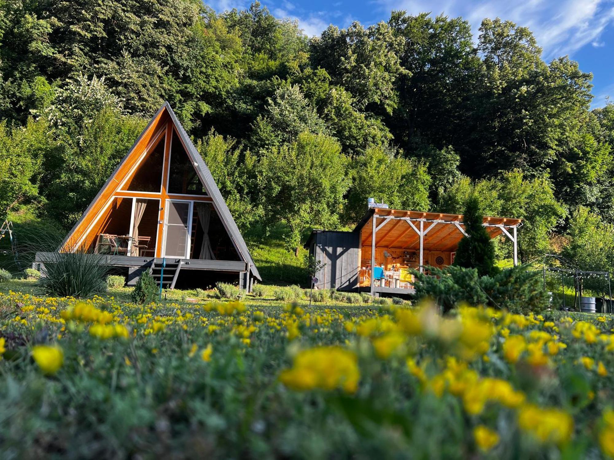 Cabane A-Frame Svinita מראה חיצוני תמונה