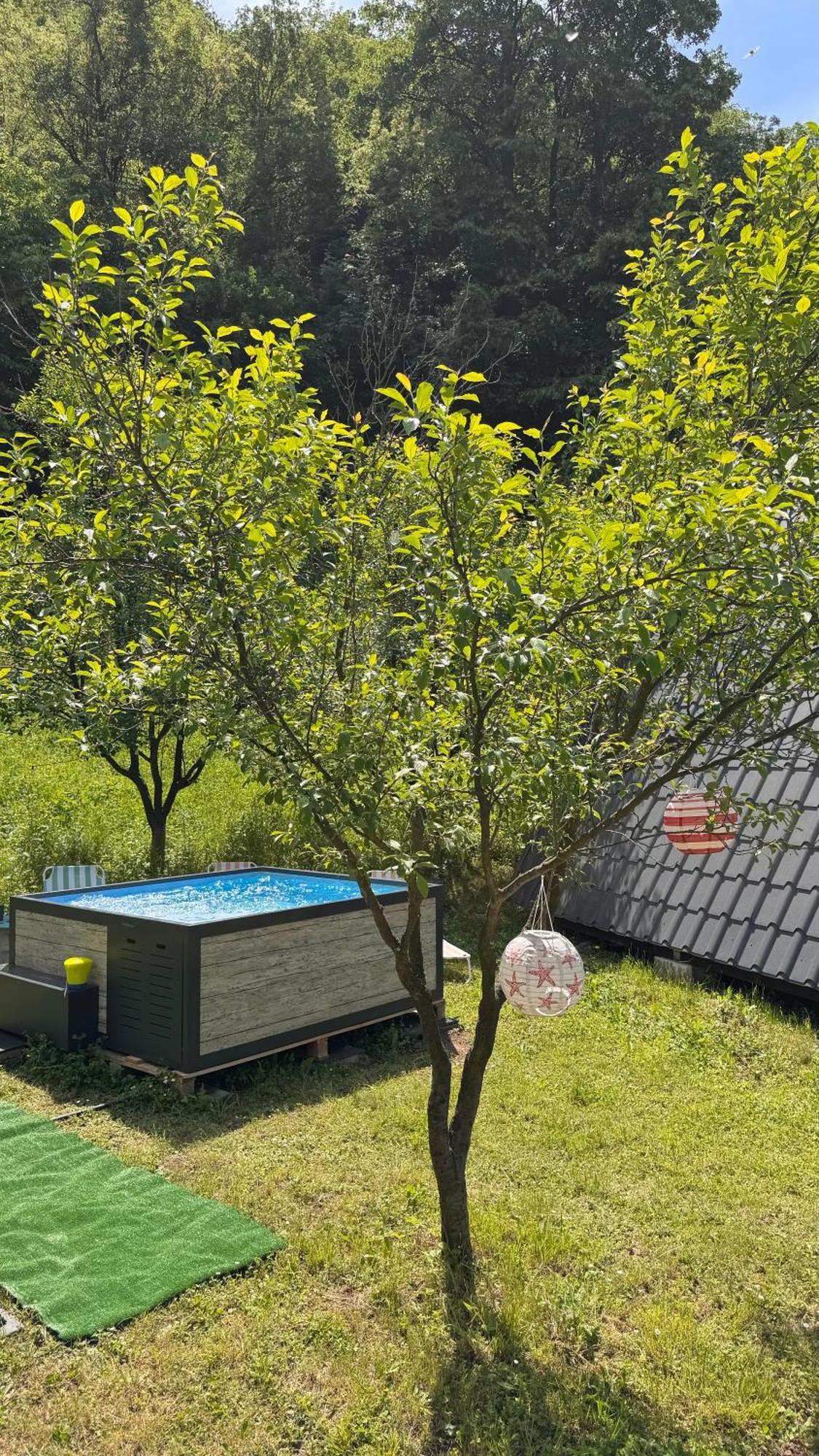 Cabane A-Frame Svinita מראה חיצוני תמונה