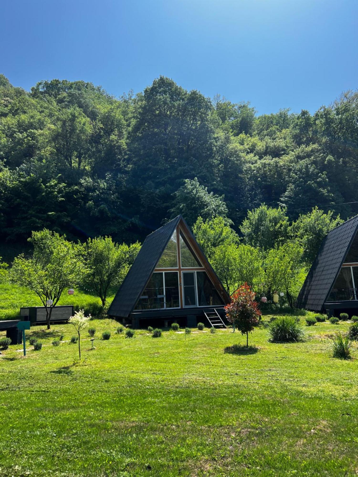 Cabane A-Frame Svinita מראה חיצוני תמונה